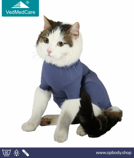 VetMedCare Cat OP Bodysuit - Especially for cats - blue