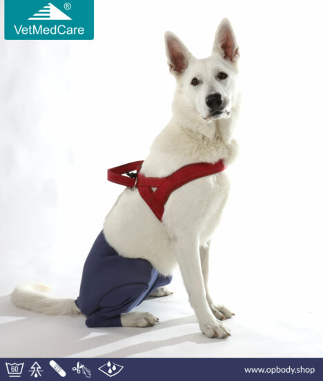 VetMedCare Dog Safety Pants - blue