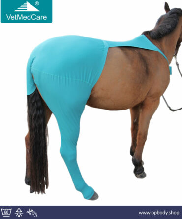 VetMedCare Horse Leg Protection hint leg
