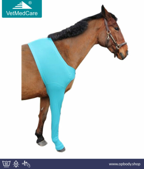 VetMedCare Horse Leg Protection - foreleg
