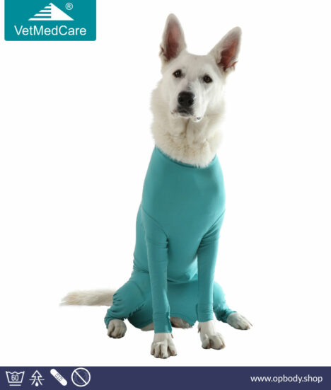 VetMedCare dog bodysuit for bitch