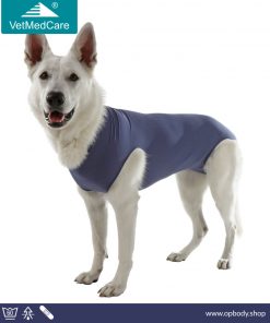 VetMedCare Bodysuit Bitch - female dog - blue