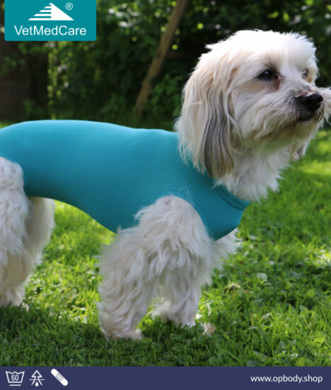 VetMedCare Dog OP Bodysuit Bitch - turquoise