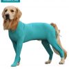 VetMedCare Dog Bodysuit for male dog