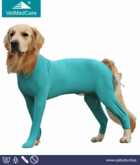 VetMedCare Dog Bodysuit for male dog
