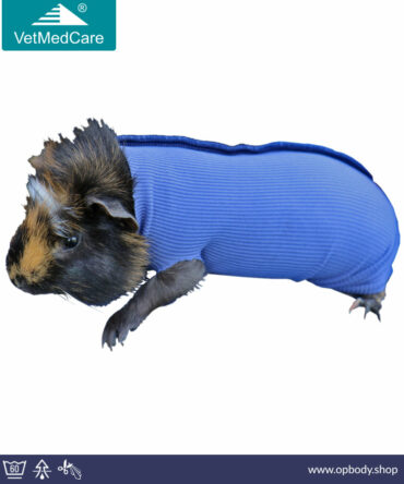 VetMedCare Safety Tube Example Guinea Pig